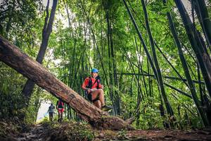 BIB: 1083
                            <button type="button" onclick="openModal(15933399)" class="btn btn-primary btn-sm float-right btn-popup" data-toggle="modal" data-target=".modal-high-quality">
                        <i class="fas fa-shopping-cart"></i> Add to Cart
                    </button>
                                            <button type="button" onclick="isThisMe(15933399, true)" class="btn btn-success btn-sm float-right btn-popup btn-isme hidden" data-toggle="tooltip" data-placement="bottom" title="นี่คือรูปของคุณใช่ไหม คลิกที่นี่เพื่อเอาเข้าอัลบั้ม">
                        <i class="fas fa-plus"></i> Add to album
                    </button>
                    <button type="button" onclick="isThisMe(15933399, false)" class="btn btn-warning btn-sm float-right btn-popup btn-isnotme hidden">
                        <i class="fas fa-ban"></i> Remove from album
                    </button>