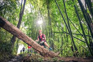 BIB: , 1625
                            <button type="button" onclick="openModal(15934727)" class="btn btn-primary btn-sm float-right btn-popup" data-toggle="modal" data-target=".modal-high-quality">
                        <i class="fas fa-shopping-cart"></i> Add to Cart
                    </button>
                                            <button type="button" onclick="isThisMe(15934727, true)" class="btn btn-success btn-sm float-right btn-popup btn-isme hidden" data-toggle="tooltip" data-placement="bottom" title="นี่คือรูปของคุณใช่ไหม คลิกที่นี่เพื่อเอาเข้าอัลบั้ม">
                        <i class="fas fa-plus"></i> Add to album
                    </button>
                    <button type="button" onclick="isThisMe(15934727, false)" class="btn btn-warning btn-sm float-right btn-popup btn-isnotme hidden">
                        <i class="fas fa-ban"></i> Remove from album
                    </button>