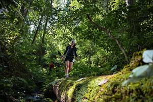 BIB: 
                            <button type="button" onclick="openModal(15939957)" class="btn btn-primary btn-sm float-right btn-popup" data-toggle="modal" data-target=".modal-high-quality">
                        <i class="fas fa-shopping-cart"></i> Add to Cart
                    </button>
                                            <button type="button" onclick="isThisMe(15939957, true)" class="btn btn-success btn-sm float-right btn-popup btn-isme hidden" data-toggle="tooltip" data-placement="bottom" title="นี่คือรูปของคุณใช่ไหม คลิกที่นี่เพื่อเอาเข้าอัลบั้ม">
                        <i class="fas fa-plus"></i> Add to album
                    </button>
                    <button type="button" onclick="isThisMe(15939957, false)" class="btn btn-warning btn-sm float-right btn-popup btn-isnotme hidden">
                        <i class="fas fa-ban"></i> Remove from album
                    </button>