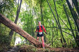 BIB: , 1224
                            <button type="button" onclick="openModal(15934620)" class="btn btn-primary btn-sm float-right btn-popup" data-toggle="modal" data-target=".modal-high-quality">
                        <i class="fas fa-shopping-cart"></i> Add to Cart
                    </button>
                                            <button type="button" onclick="isThisMe(15934620, true)" class="btn btn-success btn-sm float-right btn-popup btn-isme hidden" data-toggle="tooltip" data-placement="bottom" title="นี่คือรูปของคุณใช่ไหม คลิกที่นี่เพื่อเอาเข้าอัลบั้ม">
                        <i class="fas fa-plus"></i> Add to album
                    </button>
                    <button type="button" onclick="isThisMe(15934620, false)" class="btn btn-warning btn-sm float-right btn-popup btn-isnotme hidden">
                        <i class="fas fa-ban"></i> Remove from album
                    </button>