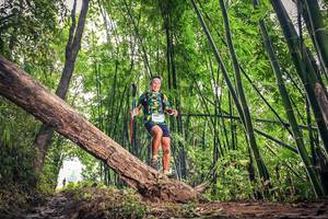 BIB: 1029
                            <button type="button" onclick="openModal(15932523)" class="btn btn-primary btn-sm float-right btn-popup" data-toggle="modal" data-target=".modal-high-quality">
                        <i class="fas fa-shopping-cart"></i> Add to Cart
                    </button>
                                            <button type="button" onclick="isThisMe(15932523, true)" class="btn btn-success btn-sm float-right btn-popup btn-isme hidden" data-toggle="tooltip" data-placement="bottom" title="นี่คือรูปของคุณใช่ไหม คลิกที่นี่เพื่อเอาเข้าอัลบั้ม">
                        <i class="fas fa-plus"></i> Add to album
                    </button>
                    <button type="button" onclick="isThisMe(15932523, false)" class="btn btn-warning btn-sm float-right btn-popup btn-isnotme hidden">
                        <i class="fas fa-ban"></i> Remove from album
                    </button>