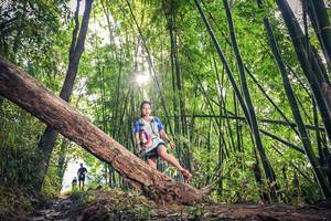 BIB: , 1159
                            <button type="button" onclick="openModal(15934774)" class="btn btn-primary btn-sm float-right btn-popup" data-toggle="modal" data-target=".modal-high-quality">
                        <i class="fas fa-shopping-cart"></i> Add to Cart
                    </button>
                                            <button type="button" onclick="isThisMe(15934774, true)" class="btn btn-success btn-sm float-right btn-popup btn-isme hidden" data-toggle="tooltip" data-placement="bottom" title="นี่คือรูปของคุณใช่ไหม คลิกที่นี่เพื่อเอาเข้าอัลบั้ม">
                        <i class="fas fa-plus"></i> Add to album
                    </button>
                    <button type="button" onclick="isThisMe(15934774, false)" class="btn btn-warning btn-sm float-right btn-popup btn-isnotme hidden">
                        <i class="fas fa-ban"></i> Remove from album
                    </button>