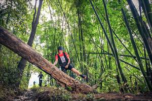 BIB: 
                            <button type="button" onclick="openModal(15934442)" class="btn btn-primary btn-sm float-right btn-popup" data-toggle="modal" data-target=".modal-high-quality">
                        <i class="fas fa-shopping-cart"></i> Add to Cart
                    </button>
                                            <button type="button" onclick="isThisMe(15934442, true)" class="btn btn-success btn-sm float-right btn-popup btn-isme hidden" data-toggle="tooltip" data-placement="bottom" title="นี่คือรูปของคุณใช่ไหม คลิกที่นี่เพื่อเอาเข้าอัลบั้ม">
                        <i class="fas fa-plus"></i> Add to album
                    </button>
                    <button type="button" onclick="isThisMe(15934442, false)" class="btn btn-warning btn-sm float-right btn-popup btn-isnotme hidden">
                        <i class="fas fa-ban"></i> Remove from album
                    </button>