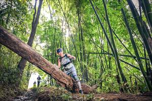 BIB: 1122
                            <button type="button" onclick="openModal(15934975)" class="btn btn-primary btn-sm float-right btn-popup" data-toggle="modal" data-target=".modal-high-quality">
                        <i class="fas fa-shopping-cart"></i> Add to Cart
                    </button>
                                            <button type="button" onclick="isThisMe(15934975, true)" class="btn btn-success btn-sm float-right btn-popup btn-isme hidden" data-toggle="tooltip" data-placement="bottom" title="นี่คือรูปของคุณใช่ไหม คลิกที่นี่เพื่อเอาเข้าอัลบั้ม">
                        <i class="fas fa-plus"></i> Add to album
                    </button>
                    <button type="button" onclick="isThisMe(15934975, false)" class="btn btn-warning btn-sm float-right btn-popup btn-isnotme hidden">
                        <i class="fas fa-ban"></i> Remove from album
                    </button>