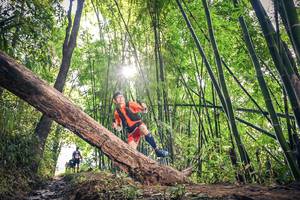 BIB: 
                            <button type="button" onclick="openModal(15934732)" class="btn btn-primary btn-sm float-right btn-popup" data-toggle="modal" data-target=".modal-high-quality">
                        <i class="fas fa-shopping-cart"></i> Add to Cart
                    </button>
                                            <button type="button" onclick="isThisMe(15934732, true)" class="btn btn-success btn-sm float-right btn-popup btn-isme hidden" data-toggle="tooltip" data-placement="bottom" title="นี่คือรูปของคุณใช่ไหม คลิกที่นี่เพื่อเอาเข้าอัลบั้ม">
                        <i class="fas fa-plus"></i> Add to album
                    </button>
                    <button type="button" onclick="isThisMe(15934732, false)" class="btn btn-warning btn-sm float-right btn-popup btn-isnotme hidden">
                        <i class="fas fa-ban"></i> Remove from album
                    </button>