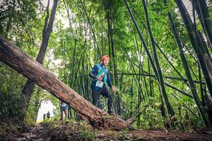 BIB: , 1357, 1606
                            <button type="button" onclick="openModal(15932847)" class="btn btn-primary btn-sm float-right btn-popup" data-toggle="modal" data-target=".modal-high-quality">
                        <i class="fas fa-shopping-cart"></i> Add to Cart
                    </button>
                                            <button type="button" onclick="isThisMe(15932847, true)" class="btn btn-success btn-sm float-right btn-popup btn-isme hidden" data-toggle="tooltip" data-placement="bottom" title="นี่คือรูปของคุณใช่ไหม คลิกที่นี่เพื่อเอาเข้าอัลบั้ม">
                        <i class="fas fa-plus"></i> Add to album
                    </button>
                    <button type="button" onclick="isThisMe(15932847, false)" class="btn btn-warning btn-sm float-right btn-popup btn-isnotme hidden">
                        <i class="fas fa-ban"></i> Remove from album
                    </button>