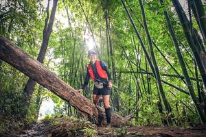 BIB: 1652
                            <button type="button" onclick="openModal(15935057)" class="btn btn-primary btn-sm float-right btn-popup" data-toggle="modal" data-target=".modal-high-quality">
                        <i class="fas fa-shopping-cart"></i> Add to Cart
                    </button>
                                            <button type="button" onclick="isThisMe(15935057, true)" class="btn btn-success btn-sm float-right btn-popup btn-isme hidden" data-toggle="tooltip" data-placement="bottom" title="นี่คือรูปของคุณใช่ไหม คลิกที่นี่เพื่อเอาเข้าอัลบั้ม">
                        <i class="fas fa-plus"></i> Add to album
                    </button>
                    <button type="button" onclick="isThisMe(15935057, false)" class="btn btn-warning btn-sm float-right btn-popup btn-isnotme hidden">
                        <i class="fas fa-ban"></i> Remove from album
                    </button>