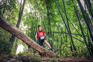 BIB: 1031
                            <button type="button" onclick="openModal(15932871)" class="btn btn-primary btn-sm float-right btn-popup" data-toggle="modal" data-target=".modal-high-quality">
                        <i class="fas fa-shopping-cart"></i> Add to Cart
                    </button>
                                            <button type="button" onclick="isThisMe(15932871, true)" class="btn btn-success btn-sm float-right btn-popup btn-isme hidden" data-toggle="tooltip" data-placement="bottom" title="นี่คือรูปของคุณใช่ไหม คลิกที่นี่เพื่อเอาเข้าอัลบั้ม">
                        <i class="fas fa-plus"></i> Add to album
                    </button>
                    <button type="button" onclick="isThisMe(15932871, false)" class="btn btn-warning btn-sm float-right btn-popup btn-isnotme hidden">
                        <i class="fas fa-ban"></i> Remove from album
                    </button>