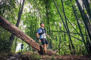 BIB: 1114
                            <button type="button" onclick="openModal(15933578)" class="btn btn-primary btn-sm float-right btn-popup" data-toggle="modal" data-target=".modal-high-quality">
                        <i class="fas fa-shopping-cart"></i> Add to Cart
                    </button>
                                            <button type="button" onclick="isThisMe(15933578, true)" class="btn btn-success btn-sm float-right btn-popup btn-isme hidden" data-toggle="tooltip" data-placement="bottom" title="นี่คือรูปของคุณใช่ไหม คลิกที่นี่เพื่อเอาเข้าอัลบั้ม">
                        <i class="fas fa-plus"></i> Add to album
                    </button>
                    <button type="button" onclick="isThisMe(15933578, false)" class="btn btn-warning btn-sm float-right btn-popup btn-isnotme hidden">
                        <i class="fas fa-ban"></i> Remove from album
                    </button>