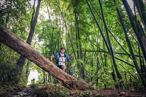 BIB: 1635
                            <button type="button" onclick="openModal(15934355)" class="btn btn-primary btn-sm float-right btn-popup" data-toggle="modal" data-target=".modal-high-quality">
                        <i class="fas fa-shopping-cart"></i> Add to Cart
                    </button>
                                            <button type="button" onclick="isThisMe(15934355, true)" class="btn btn-success btn-sm float-right btn-popup btn-isme hidden" data-toggle="tooltip" data-placement="bottom" title="นี่คือรูปของคุณใช่ไหม คลิกที่นี่เพื่อเอาเข้าอัลบั้ม">
                        <i class="fas fa-plus"></i> Add to album
                    </button>
                    <button type="button" onclick="isThisMe(15934355, false)" class="btn btn-warning btn-sm float-right btn-popup btn-isnotme hidden">
                        <i class="fas fa-ban"></i> Remove from album
                    </button>