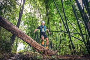 BIB: 1369
                            <button type="button" onclick="openModal(15934455)" class="btn btn-primary btn-sm float-right btn-popup" data-toggle="modal" data-target=".modal-high-quality">
                        <i class="fas fa-shopping-cart"></i> Add to Cart
                    </button>
                                            <button type="button" onclick="isThisMe(15934455, true)" class="btn btn-success btn-sm float-right btn-popup btn-isme hidden" data-toggle="tooltip" data-placement="bottom" title="นี่คือรูปของคุณใช่ไหม คลิกที่นี่เพื่อเอาเข้าอัลบั้ม">
                        <i class="fas fa-plus"></i> Add to album
                    </button>
                    <button type="button" onclick="isThisMe(15934455, false)" class="btn btn-warning btn-sm float-right btn-popup btn-isnotme hidden">
                        <i class="fas fa-ban"></i> Remove from album
                    </button>