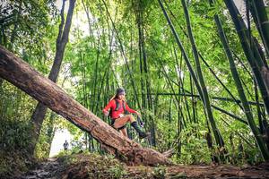 BIB: 
                            <button type="button" onclick="openModal(15934624)" class="btn btn-primary btn-sm float-right btn-popup" data-toggle="modal" data-target=".modal-high-quality">
                        <i class="fas fa-shopping-cart"></i> Add to Cart
                    </button>
                                            <button type="button" onclick="isThisMe(15934624, true)" class="btn btn-success btn-sm float-right btn-popup btn-isme hidden" data-toggle="tooltip" data-placement="bottom" title="นี่คือรูปของคุณใช่ไหม คลิกที่นี่เพื่อเอาเข้าอัลบั้ม">
                        <i class="fas fa-plus"></i> Add to album
                    </button>
                    <button type="button" onclick="isThisMe(15934624, false)" class="btn btn-warning btn-sm float-right btn-popup btn-isnotme hidden">
                        <i class="fas fa-ban"></i> Remove from album
                    </button>