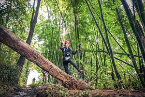 BIB: 1381, 1513
                            <button type="button" onclick="openModal(15934572)" class="btn btn-primary btn-sm float-right btn-popup" data-toggle="modal" data-target=".modal-high-quality">
                        <i class="fas fa-shopping-cart"></i> Add to Cart
                    </button>
                                            <button type="button" onclick="isThisMe(15934572, true)" class="btn btn-success btn-sm float-right btn-popup btn-isme hidden" data-toggle="tooltip" data-placement="bottom" title="นี่คือรูปของคุณใช่ไหม คลิกที่นี่เพื่อเอาเข้าอัลบั้ม">
                        <i class="fas fa-plus"></i> Add to album
                    </button>
                    <button type="button" onclick="isThisMe(15934572, false)" class="btn btn-warning btn-sm float-right btn-popup btn-isnotme hidden">
                        <i class="fas fa-ban"></i> Remove from album
                    </button>