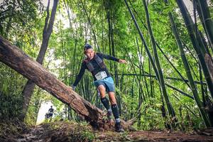 BIB: 1092
                            <button type="button" onclick="openModal(15932954)" class="btn btn-primary btn-sm float-right btn-popup" data-toggle="modal" data-target=".modal-high-quality">
                        <i class="fas fa-shopping-cart"></i> Add to Cart
                    </button>
                                            <button type="button" onclick="isThisMe(15932954, true)" class="btn btn-success btn-sm float-right btn-popup btn-isme hidden" data-toggle="tooltip" data-placement="bottom" title="นี่คือรูปของคุณใช่ไหม คลิกที่นี่เพื่อเอาเข้าอัลบั้ม">
                        <i class="fas fa-plus"></i> Add to album
                    </button>
                    <button type="button" onclick="isThisMe(15932954, false)" class="btn btn-warning btn-sm float-right btn-popup btn-isnotme hidden">
                        <i class="fas fa-ban"></i> Remove from album
                    </button>