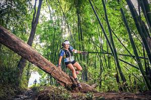 BIB: 1150
                            <button type="button" onclick="openModal(15934640)" class="btn btn-primary btn-sm float-right btn-popup" data-toggle="modal" data-target=".modal-high-quality">
                        <i class="fas fa-shopping-cart"></i> Add to Cart
                    </button>
                                            <button type="button" onclick="isThisMe(15934640, true)" class="btn btn-success btn-sm float-right btn-popup btn-isme hidden" data-toggle="tooltip" data-placement="bottom" title="นี่คือรูปของคุณใช่ไหม คลิกที่นี่เพื่อเอาเข้าอัลบั้ม">
                        <i class="fas fa-plus"></i> Add to album
                    </button>
                    <button type="button" onclick="isThisMe(15934640, false)" class="btn btn-warning btn-sm float-right btn-popup btn-isnotme hidden">
                        <i class="fas fa-ban"></i> Remove from album
                    </button>