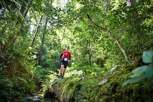 BIB: 5079
                            <button type="button" onclick="openModal(15938943)" class="btn btn-primary btn-sm float-right btn-popup" data-toggle="modal" data-target=".modal-high-quality">
                        <i class="fas fa-shopping-cart"></i> Add to Cart
                    </button>
                                            <button type="button" onclick="isThisMe(15938943, true)" class="btn btn-success btn-sm float-right btn-popup btn-isme hidden" data-toggle="tooltip" data-placement="bottom" title="นี่คือรูปของคุณใช่ไหม คลิกที่นี่เพื่อเอาเข้าอัลบั้ม">
                        <i class="fas fa-plus"></i> Add to album
                    </button>
                    <button type="button" onclick="isThisMe(15938943, false)" class="btn btn-warning btn-sm float-right btn-popup btn-isnotme hidden">
                        <i class="fas fa-ban"></i> Remove from album
                    </button>