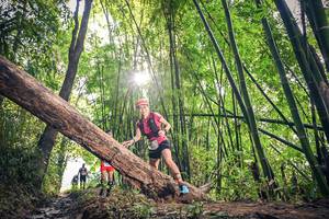 BIB: 1625, 176
                            <button type="button" onclick="openModal(15934728)" class="btn btn-primary btn-sm float-right btn-popup" data-toggle="modal" data-target=".modal-high-quality">
                        <i class="fas fa-shopping-cart"></i> Add to Cart
                    </button>
                                            <button type="button" onclick="isThisMe(15934728, true)" class="btn btn-success btn-sm float-right btn-popup btn-isme hidden" data-toggle="tooltip" data-placement="bottom" title="นี่คือรูปของคุณใช่ไหม คลิกที่นี่เพื่อเอาเข้าอัลบั้ม">
                        <i class="fas fa-plus"></i> Add to album
                    </button>
                    <button type="button" onclick="isThisMe(15934728, false)" class="btn btn-warning btn-sm float-right btn-popup btn-isnotme hidden">
                        <i class="fas fa-ban"></i> Remove from album
                    </button>