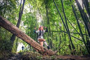 BIB: 1624
                            <button type="button" onclick="openModal(15934815)" class="btn btn-primary btn-sm float-right btn-popup" data-toggle="modal" data-target=".modal-high-quality">
                        <i class="fas fa-shopping-cart"></i> Add to Cart
                    </button>
                                            <button type="button" onclick="isThisMe(15934815, true)" class="btn btn-success btn-sm float-right btn-popup btn-isme hidden" data-toggle="tooltip" data-placement="bottom" title="นี่คือรูปของคุณใช่ไหม คลิกที่นี่เพื่อเอาเข้าอัลบั้ม">
                        <i class="fas fa-plus"></i> Add to album
                    </button>
                    <button type="button" onclick="isThisMe(15934815, false)" class="btn btn-warning btn-sm float-right btn-popup btn-isnotme hidden">
                        <i class="fas fa-ban"></i> Remove from album
                    </button>