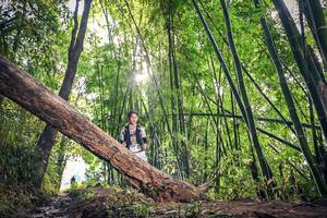 BIB: 1595
                            <button type="button" onclick="openModal(15934792)" class="btn btn-primary btn-sm float-right btn-popup" data-toggle="modal" data-target=".modal-high-quality">
                        <i class="fas fa-shopping-cart"></i> Add to Cart
                    </button>
                                            <button type="button" onclick="isThisMe(15934792, true)" class="btn btn-success btn-sm float-right btn-popup btn-isme hidden" data-toggle="tooltip" data-placement="bottom" title="นี่คือรูปของคุณใช่ไหม คลิกที่นี่เพื่อเอาเข้าอัลบั้ม">
                        <i class="fas fa-plus"></i> Add to album
                    </button>
                    <button type="button" onclick="isThisMe(15934792, false)" class="btn btn-warning btn-sm float-right btn-popup btn-isnotme hidden">
                        <i class="fas fa-ban"></i> Remove from album
                    </button>