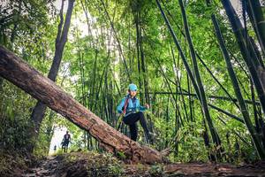 BIB: 
                            <button type="button" onclick="openModal(15934428)" class="btn btn-primary btn-sm float-right btn-popup" data-toggle="modal" data-target=".modal-high-quality">
                        <i class="fas fa-shopping-cart"></i> Add to Cart
                    </button>
                                            <button type="button" onclick="isThisMe(15934428, true)" class="btn btn-success btn-sm float-right btn-popup btn-isme hidden" data-toggle="tooltip" data-placement="bottom" title="นี่คือรูปของคุณใช่ไหม คลิกที่นี่เพื่อเอาเข้าอัลบั้ม">
                        <i class="fas fa-plus"></i> Add to album
                    </button>
                    <button type="button" onclick="isThisMe(15934428, false)" class="btn btn-warning btn-sm float-right btn-popup btn-isnotme hidden">
                        <i class="fas fa-ban"></i> Remove from album
                    </button>