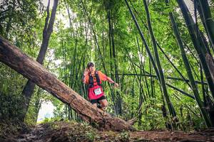 BIB: 1432
                            <button type="button" onclick="openModal(15933649)" class="btn btn-primary btn-sm float-right btn-popup" data-toggle="modal" data-target=".modal-high-quality">
                        <i class="fas fa-shopping-cart"></i> Add to Cart
                    </button>
                                            <button type="button" onclick="isThisMe(15933649, true)" class="btn btn-success btn-sm float-right btn-popup btn-isme hidden" data-toggle="tooltip" data-placement="bottom" title="นี่คือรูปของคุณใช่ไหม คลิกที่นี่เพื่อเอาเข้าอัลบั้ม">
                        <i class="fas fa-plus"></i> Add to album
                    </button>
                    <button type="button" onclick="isThisMe(15933649, false)" class="btn btn-warning btn-sm float-right btn-popup btn-isnotme hidden">
                        <i class="fas fa-ban"></i> Remove from album
                    </button>