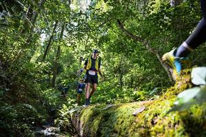 BIB: 5108, 5217
                            <button type="button" onclick="openModal(15939732)" class="btn btn-primary btn-sm float-right btn-popup" data-toggle="modal" data-target=".modal-high-quality">
                        <i class="fas fa-shopping-cart"></i> Add to Cart
                    </button>
                                            <button type="button" onclick="isThisMe(15939732, true)" class="btn btn-success btn-sm float-right btn-popup btn-isme hidden" data-toggle="tooltip" data-placement="bottom" title="นี่คือรูปของคุณใช่ไหม คลิกที่นี่เพื่อเอาเข้าอัลบั้ม">
                        <i class="fas fa-plus"></i> Add to album
                    </button>
                    <button type="button" onclick="isThisMe(15939732, false)" class="btn btn-warning btn-sm float-right btn-popup btn-isnotme hidden">
                        <i class="fas fa-ban"></i> Remove from album
                    </button>