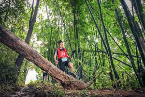 BIB: 1031
                            <button type="button" onclick="openModal(15932872)" class="btn btn-primary btn-sm float-right btn-popup" data-toggle="modal" data-target=".modal-high-quality">
                        <i class="fas fa-shopping-cart"></i> Add to Cart
                    </button>
                                            <button type="button" onclick="isThisMe(15932872, true)" class="btn btn-success btn-sm float-right btn-popup btn-isme hidden" data-toggle="tooltip" data-placement="bottom" title="นี่คือรูปของคุณใช่ไหม คลิกที่นี่เพื่อเอาเข้าอัลบั้ม">
                        <i class="fas fa-plus"></i> Add to album
                    </button>
                    <button type="button" onclick="isThisMe(15932872, false)" class="btn btn-warning btn-sm float-right btn-popup btn-isnotme hidden">
                        <i class="fas fa-ban"></i> Remove from album
                    </button>