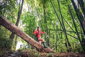 BIB: 174
                            <button type="button" onclick="openModal(15934627)" class="btn btn-primary btn-sm float-right btn-popup" data-toggle="modal" data-target=".modal-high-quality">
                        <i class="fas fa-shopping-cart"></i> Add to Cart
                    </button>
                                            <button type="button" onclick="isThisMe(15934627, true)" class="btn btn-success btn-sm float-right btn-popup btn-isme hidden" data-toggle="tooltip" data-placement="bottom" title="นี่คือรูปของคุณใช่ไหม คลิกที่นี่เพื่อเอาเข้าอัลบั้ม">
                        <i class="fas fa-plus"></i> Add to album
                    </button>
                    <button type="button" onclick="isThisMe(15934627, false)" class="btn btn-warning btn-sm float-right btn-popup btn-isnotme hidden">
                        <i class="fas fa-ban"></i> Remove from album
                    </button>