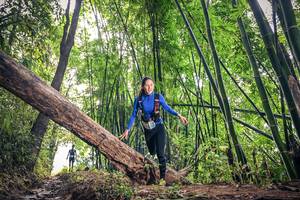 BIB: 
                            <button type="button" onclick="openModal(15932933)" class="btn btn-primary btn-sm float-right btn-popup" data-toggle="modal" data-target=".modal-high-quality">
                        <i class="fas fa-shopping-cart"></i> Add to Cart
                    </button>
                                            <button type="button" onclick="isThisMe(15932933, true)" class="btn btn-success btn-sm float-right btn-popup btn-isme hidden" data-toggle="tooltip" data-placement="bottom" title="นี่คือรูปของคุณใช่ไหม คลิกที่นี่เพื่อเอาเข้าอัลบั้ม">
                        <i class="fas fa-plus"></i> Add to album
                    </button>
                    <button type="button" onclick="isThisMe(15932933, false)" class="btn btn-warning btn-sm float-right btn-popup btn-isnotme hidden">
                        <i class="fas fa-ban"></i> Remove from album
                    </button>