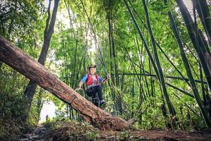 BIB: 
                            <button type="button" onclick="openModal(15934831)" class="btn btn-primary btn-sm float-right btn-popup" data-toggle="modal" data-target=".modal-high-quality">
                        <i class="fas fa-shopping-cart"></i> Add to Cart
                    </button>
                                            <button type="button" onclick="isThisMe(15934831, true)" class="btn btn-success btn-sm float-right btn-popup btn-isme hidden" data-toggle="tooltip" data-placement="bottom" title="นี่คือรูปของคุณใช่ไหม คลิกที่นี่เพื่อเอาเข้าอัลบั้ม">
                        <i class="fas fa-plus"></i> Add to album
                    </button>
                    <button type="button" onclick="isThisMe(15934831, false)" class="btn btn-warning btn-sm float-right btn-popup btn-isnotme hidden">
                        <i class="fas fa-ban"></i> Remove from album
                    </button>