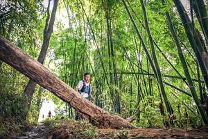 BIB: 1415
                            <button type="button" onclick="openModal(15934612)" class="btn btn-primary btn-sm float-right btn-popup" data-toggle="modal" data-target=".modal-high-quality">
                        <i class="fas fa-shopping-cart"></i> Add to Cart
                    </button>
                                            <button type="button" onclick="isThisMe(15934612, true)" class="btn btn-success btn-sm float-right btn-popup btn-isme hidden" data-toggle="tooltip" data-placement="bottom" title="นี่คือรูปของคุณใช่ไหม คลิกที่นี่เพื่อเอาเข้าอัลบั้ม">
                        <i class="fas fa-plus"></i> Add to album
                    </button>
                    <button type="button" onclick="isThisMe(15934612, false)" class="btn btn-warning btn-sm float-right btn-popup btn-isnotme hidden">
                        <i class="fas fa-ban"></i> Remove from album
                    </button>