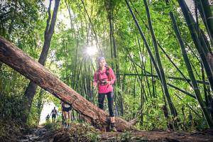 BIB: 1625
                            <button type="button" onclick="openModal(15934725)" class="btn btn-primary btn-sm float-right btn-popup" data-toggle="modal" data-target=".modal-high-quality">
                        <i class="fas fa-shopping-cart"></i> Add to Cart
                    </button>
                                            <button type="button" onclick="isThisMe(15934725, true)" class="btn btn-success btn-sm float-right btn-popup btn-isme hidden" data-toggle="tooltip" data-placement="bottom" title="นี่คือรูปของคุณใช่ไหม คลิกที่นี่เพื่อเอาเข้าอัลบั้ม">
                        <i class="fas fa-plus"></i> Add to album
                    </button>
                    <button type="button" onclick="isThisMe(15934725, false)" class="btn btn-warning btn-sm float-right btn-popup btn-isnotme hidden">
                        <i class="fas fa-ban"></i> Remove from album
                    </button>