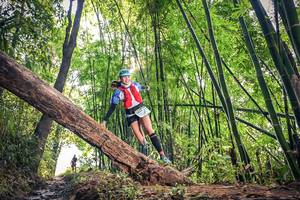 BIB: , 1513
                            <button type="button" onclick="openModal(15934581)" class="btn btn-primary btn-sm float-right btn-popup" data-toggle="modal" data-target=".modal-high-quality">
                        <i class="fas fa-shopping-cart"></i> Add to Cart
                    </button>
                                            <button type="button" onclick="isThisMe(15934581, true)" class="btn btn-success btn-sm float-right btn-popup btn-isme hidden" data-toggle="tooltip" data-placement="bottom" title="นี่คือรูปของคุณใช่ไหม คลิกที่นี่เพื่อเอาเข้าอัลบั้ม">
                        <i class="fas fa-plus"></i> Add to album
                    </button>
                    <button type="button" onclick="isThisMe(15934581, false)" class="btn btn-warning btn-sm float-right btn-popup btn-isnotme hidden">
                        <i class="fas fa-ban"></i> Remove from album
                    </button>