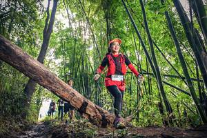 BIB: 1384
                            <button type="button" onclick="openModal(15934930)" class="btn btn-primary btn-sm float-right btn-popup" data-toggle="modal" data-target=".modal-high-quality">
                        <i class="fas fa-shopping-cart"></i> Add to Cart
                    </button>
                                            <button type="button" onclick="isThisMe(15934930, true)" class="btn btn-success btn-sm float-right btn-popup btn-isme hidden" data-toggle="tooltip" data-placement="bottom" title="นี่คือรูปของคุณใช่ไหม คลิกที่นี่เพื่อเอาเข้าอัลบั้ม">
                        <i class="fas fa-plus"></i> Add to album
                    </button>
                    <button type="button" onclick="isThisMe(15934930, false)" class="btn btn-warning btn-sm float-right btn-popup btn-isnotme hidden">
                        <i class="fas fa-ban"></i> Remove from album
                    </button>