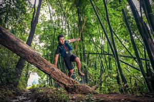 BIB: 
                            <button type="button" onclick="openModal(15933443)" class="btn btn-primary btn-sm float-right btn-popup" data-toggle="modal" data-target=".modal-high-quality">
                        <i class="fas fa-shopping-cart"></i> Add to Cart
                    </button>
                                            <button type="button" onclick="isThisMe(15933443, true)" class="btn btn-success btn-sm float-right btn-popup btn-isme hidden" data-toggle="tooltip" data-placement="bottom" title="นี่คือรูปของคุณใช่ไหม คลิกที่นี่เพื่อเอาเข้าอัลบั้ม">
                        <i class="fas fa-plus"></i> Add to album
                    </button>
                    <button type="button" onclick="isThisMe(15933443, false)" class="btn btn-warning btn-sm float-right btn-popup btn-isnotme hidden">
                        <i class="fas fa-ban"></i> Remove from album
                    </button>