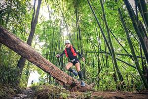 BIB: 
                            <button type="button" onclick="openModal(15935025)" class="btn btn-primary btn-sm float-right btn-popup" data-toggle="modal" data-target=".modal-high-quality">
                        <i class="fas fa-shopping-cart"></i> Add to Cart
                    </button>
                                            <button type="button" onclick="isThisMe(15935025, true)" class="btn btn-success btn-sm float-right btn-popup btn-isme hidden" data-toggle="tooltip" data-placement="bottom" title="นี่คือรูปของคุณใช่ไหม คลิกที่นี่เพื่อเอาเข้าอัลบั้ม">
                        <i class="fas fa-plus"></i> Add to album
                    </button>
                    <button type="button" onclick="isThisMe(15935025, false)" class="btn btn-warning btn-sm float-right btn-popup btn-isnotme hidden">
                        <i class="fas fa-ban"></i> Remove from album
                    </button>