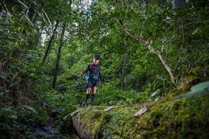 BIB: 
                            <button type="button" onclick="openModal(15941431)" class="btn btn-primary btn-sm float-right btn-popup" data-toggle="modal" data-target=".modal-high-quality">
                        <i class="fas fa-shopping-cart"></i> Add to Cart
                    </button>
                                            <button type="button" onclick="isThisMe(15941431, true)" class="btn btn-success btn-sm float-right btn-popup btn-isme hidden" data-toggle="tooltip" data-placement="bottom" title="นี่คือรูปของคุณใช่ไหม คลิกที่นี่เพื่อเอาเข้าอัลบั้ม">
                        <i class="fas fa-plus"></i> Add to album
                    </button>
                    <button type="button" onclick="isThisMe(15941431, false)" class="btn btn-warning btn-sm float-right btn-popup btn-isnotme hidden">
                        <i class="fas fa-ban"></i> Remove from album
                    </button>