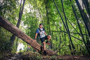 BIB: 1635
                            <button type="button" onclick="openModal(15934359)" class="btn btn-primary btn-sm float-right btn-popup" data-toggle="modal" data-target=".modal-high-quality">
                        <i class="fas fa-shopping-cart"></i> Add to Cart
                    </button>
                                            <button type="button" onclick="isThisMe(15934359, true)" class="btn btn-success btn-sm float-right btn-popup btn-isme hidden" data-toggle="tooltip" data-placement="bottom" title="นี่คือรูปของคุณใช่ไหม คลิกที่นี่เพื่อเอาเข้าอัลบั้ม">
                        <i class="fas fa-plus"></i> Add to album
                    </button>
                    <button type="button" onclick="isThisMe(15934359, false)" class="btn btn-warning btn-sm float-right btn-popup btn-isnotme hidden">
                        <i class="fas fa-ban"></i> Remove from album
                    </button>