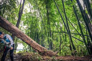 BIB: 
                            <button type="button" onclick="openModal(15933629)" class="btn btn-primary btn-sm float-right btn-popup" data-toggle="modal" data-target=".modal-high-quality">
                        <i class="fas fa-shopping-cart"></i> Add to Cart
                    </button>
                                            <button type="button" onclick="isThisMe(15933629, true)" class="btn btn-success btn-sm float-right btn-popup btn-isme hidden" data-toggle="tooltip" data-placement="bottom" title="นี่คือรูปของคุณใช่ไหม คลิกที่นี่เพื่อเอาเข้าอัลบั้ม">
                        <i class="fas fa-plus"></i> Add to album
                    </button>
                    <button type="button" onclick="isThisMe(15933629, false)" class="btn btn-warning btn-sm float-right btn-popup btn-isnotme hidden">
                        <i class="fas fa-ban"></i> Remove from album
                    </button>