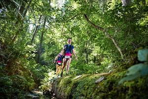 BIB: 5146, 051
                            <button type="button" onclick="openModal(15939168)" class="btn btn-primary btn-sm float-right btn-popup" data-toggle="modal" data-target=".modal-high-quality">
                        <i class="fas fa-shopping-cart"></i> Add to Cart
                    </button>
                                            <button type="button" onclick="isThisMe(15939168, true)" class="btn btn-success btn-sm float-right btn-popup btn-isme hidden" data-toggle="tooltip" data-placement="bottom" title="นี่คือรูปของคุณใช่ไหม คลิกที่นี่เพื่อเอาเข้าอัลบั้ม">
                        <i class="fas fa-plus"></i> Add to album
                    </button>
                    <button type="button" onclick="isThisMe(15939168, false)" class="btn btn-warning btn-sm float-right btn-popup btn-isnotme hidden">
                        <i class="fas fa-ban"></i> Remove from album
                    </button>