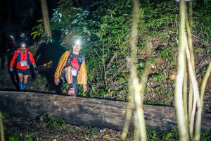 BIB: 3307
                            <button type="button" onclick="openModal(15937214)" class="btn btn-primary btn-sm float-right btn-popup" data-toggle="modal" data-target=".modal-high-quality">
                        <i class="fas fa-shopping-cart"></i> Add to Cart
                    </button>
                                            <button type="button" onclick="isThisMe(15937214, true)" class="btn btn-success btn-sm float-right btn-popup btn-isme hidden" data-toggle="tooltip" data-placement="bottom" title="นี่คือรูปของคุณใช่ไหม คลิกที่นี่เพื่อเอาเข้าอัลบั้ม">
                        <i class="fas fa-plus"></i> Add to album
                    </button>
                    <button type="button" onclick="isThisMe(15937214, false)" class="btn btn-warning btn-sm float-right btn-popup btn-isnotme hidden">
                        <i class="fas fa-ban"></i> Remove from album
                    </button>