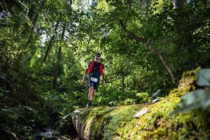 BIB: , 5033
                            <button type="button" onclick="openModal(15939805)" class="btn btn-primary btn-sm float-right btn-popup" data-toggle="modal" data-target=".modal-high-quality">
                        <i class="fas fa-shopping-cart"></i> Add to Cart
                    </button>
                                            <button type="button" onclick="isThisMe(15939805, true)" class="btn btn-success btn-sm float-right btn-popup btn-isme hidden" data-toggle="tooltip" data-placement="bottom" title="นี่คือรูปของคุณใช่ไหม คลิกที่นี่เพื่อเอาเข้าอัลบั้ม">
                        <i class="fas fa-plus"></i> Add to album
                    </button>
                    <button type="button" onclick="isThisMe(15939805, false)" class="btn btn-warning btn-sm float-right btn-popup btn-isnotme hidden">
                        <i class="fas fa-ban"></i> Remove from album
                    </button>