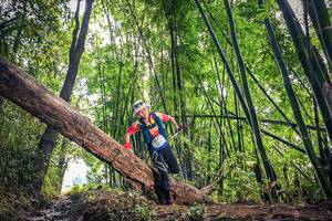 BIB: 1123
                            <button type="button" onclick="openModal(15934558)" class="btn btn-primary btn-sm float-right btn-popup" data-toggle="modal" data-target=".modal-high-quality">
                        <i class="fas fa-shopping-cart"></i> Add to Cart
                    </button>
                                            <button type="button" onclick="isThisMe(15934558, true)" class="btn btn-success btn-sm float-right btn-popup btn-isme hidden" data-toggle="tooltip" data-placement="bottom" title="นี่คือรูปของคุณใช่ไหม คลิกที่นี่เพื่อเอาเข้าอัลบั้ม">
                        <i class="fas fa-plus"></i> Add to album
                    </button>
                    <button type="button" onclick="isThisMe(15934558, false)" class="btn btn-warning btn-sm float-right btn-popup btn-isnotme hidden">
                        <i class="fas fa-ban"></i> Remove from album
                    </button>