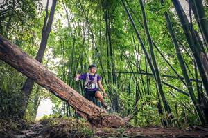 BIB: 
                            <button type="button" onclick="openModal(15932723)" class="btn btn-primary btn-sm float-right btn-popup" data-toggle="modal" data-target=".modal-high-quality">
                        <i class="fas fa-shopping-cart"></i> Add to Cart
                    </button>
                                            <button type="button" onclick="isThisMe(15932723, true)" class="btn btn-success btn-sm float-right btn-popup btn-isme hidden" data-toggle="tooltip" data-placement="bottom" title="นี่คือรูปของคุณใช่ไหม คลิกที่นี่เพื่อเอาเข้าอัลบั้ม">
                        <i class="fas fa-plus"></i> Add to album
                    </button>
                    <button type="button" onclick="isThisMe(15932723, false)" class="btn btn-warning btn-sm float-right btn-popup btn-isnotme hidden">
                        <i class="fas fa-ban"></i> Remove from album
                    </button>