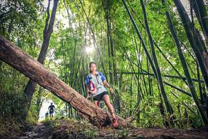 BIB: , 1159
                            <button type="button" onclick="openModal(15934775)" class="btn btn-primary btn-sm float-right btn-popup" data-toggle="modal" data-target=".modal-high-quality">
                        <i class="fas fa-shopping-cart"></i> Add to Cart
                    </button>
                                            <button type="button" onclick="isThisMe(15934775, true)" class="btn btn-success btn-sm float-right btn-popup btn-isme hidden" data-toggle="tooltip" data-placement="bottom" title="นี่คือรูปของคุณใช่ไหม คลิกที่นี่เพื่อเอาเข้าอัลบั้ม">
                        <i class="fas fa-plus"></i> Add to album
                    </button>
                    <button type="button" onclick="isThisMe(15934775, false)" class="btn btn-warning btn-sm float-right btn-popup btn-isnotme hidden">
                        <i class="fas fa-ban"></i> Remove from album
                    </button>