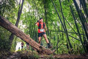 BIB: 1632
                            <button type="button" onclick="openModal(15932769)" class="btn btn-primary btn-sm float-right btn-popup" data-toggle="modal" data-target=".modal-high-quality">
                        <i class="fas fa-shopping-cart"></i> Add to Cart
                    </button>
                                            <button type="button" onclick="isThisMe(15932769, true)" class="btn btn-success btn-sm float-right btn-popup btn-isme hidden" data-toggle="tooltip" data-placement="bottom" title="นี่คือรูปของคุณใช่ไหม คลิกที่นี่เพื่อเอาเข้าอัลบั้ม">
                        <i class="fas fa-plus"></i> Add to album
                    </button>
                    <button type="button" onclick="isThisMe(15932769, false)" class="btn btn-warning btn-sm float-right btn-popup btn-isnotme hidden">
                        <i class="fas fa-ban"></i> Remove from album
                    </button>