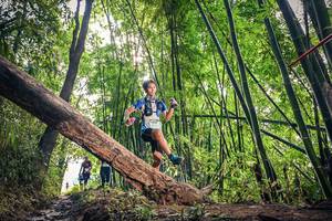 BIB: 1550
                            <button type="button" onclick="openModal(15934932)" class="btn btn-primary btn-sm float-right btn-popup" data-toggle="modal" data-target=".modal-high-quality">
                        <i class="fas fa-shopping-cart"></i> Add to Cart
                    </button>
                                            <button type="button" onclick="isThisMe(15934932, true)" class="btn btn-success btn-sm float-right btn-popup btn-isme hidden" data-toggle="tooltip" data-placement="bottom" title="นี่คือรูปของคุณใช่ไหม คลิกที่นี่เพื่อเอาเข้าอัลบั้ม">
                        <i class="fas fa-plus"></i> Add to album
                    </button>
                    <button type="button" onclick="isThisMe(15934932, false)" class="btn btn-warning btn-sm float-right btn-popup btn-isnotme hidden">
                        <i class="fas fa-ban"></i> Remove from album
                    </button>