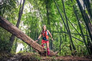 BIB: 
                            <button type="button" onclick="openModal(15933144)" class="btn btn-primary btn-sm float-right btn-popup" data-toggle="modal" data-target=".modal-high-quality">
                        <i class="fas fa-shopping-cart"></i> Add to Cart
                    </button>
                                            <button type="button" onclick="isThisMe(15933144, true)" class="btn btn-success btn-sm float-right btn-popup btn-isme hidden" data-toggle="tooltip" data-placement="bottom" title="นี่คือรูปของคุณใช่ไหม คลิกที่นี่เพื่อเอาเข้าอัลบั้ม">
                        <i class="fas fa-plus"></i> Add to album
                    </button>
                    <button type="button" onclick="isThisMe(15933144, false)" class="btn btn-warning btn-sm float-right btn-popup btn-isnotme hidden">
                        <i class="fas fa-ban"></i> Remove from album
                    </button>