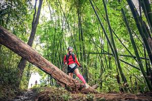 BIB: 1224
                            <button type="button" onclick="openModal(15934619)" class="btn btn-primary btn-sm float-right btn-popup" data-toggle="modal" data-target=".modal-high-quality">
                        <i class="fas fa-shopping-cart"></i> Add to Cart
                    </button>
                                            <button type="button" onclick="isThisMe(15934619, true)" class="btn btn-success btn-sm float-right btn-popup btn-isme hidden" data-toggle="tooltip" data-placement="bottom" title="นี่คือรูปของคุณใช่ไหม คลิกที่นี่เพื่อเอาเข้าอัลบั้ม">
                        <i class="fas fa-plus"></i> Add to album
                    </button>
                    <button type="button" onclick="isThisMe(15934619, false)" class="btn btn-warning btn-sm float-right btn-popup btn-isnotme hidden">
                        <i class="fas fa-ban"></i> Remove from album
                    </button>