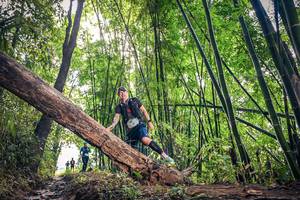 BIB: 1181
                            <button type="button" onclick="openModal(15934423)" class="btn btn-primary btn-sm float-right btn-popup" data-toggle="modal" data-target=".modal-high-quality">
                        <i class="fas fa-shopping-cart"></i> Add to Cart
                    </button>
                                            <button type="button" onclick="isThisMe(15934423, true)" class="btn btn-success btn-sm float-right btn-popup btn-isme hidden" data-toggle="tooltip" data-placement="bottom" title="นี่คือรูปของคุณใช่ไหม คลิกที่นี่เพื่อเอาเข้าอัลบั้ม">
                        <i class="fas fa-plus"></i> Add to album
                    </button>
                    <button type="button" onclick="isThisMe(15934423, false)" class="btn btn-warning btn-sm float-right btn-popup btn-isnotme hidden">
                        <i class="fas fa-ban"></i> Remove from album
                    </button>